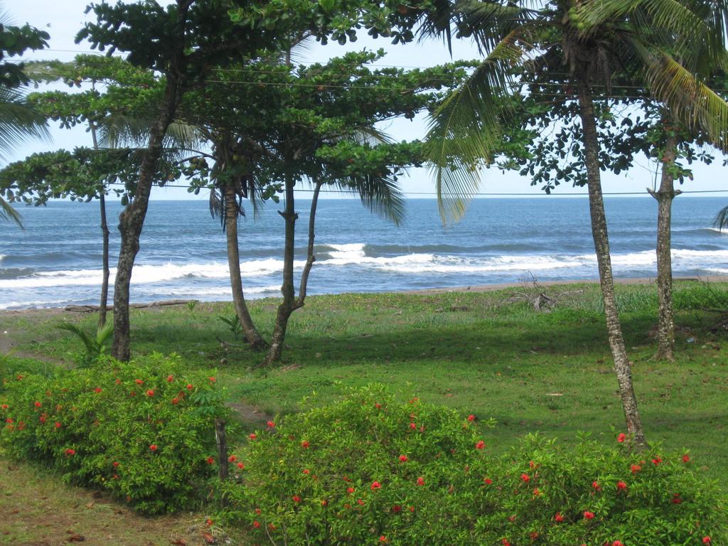 Cabinas Miss Miriam 2 Tortuguero Ngoại thất bức ảnh