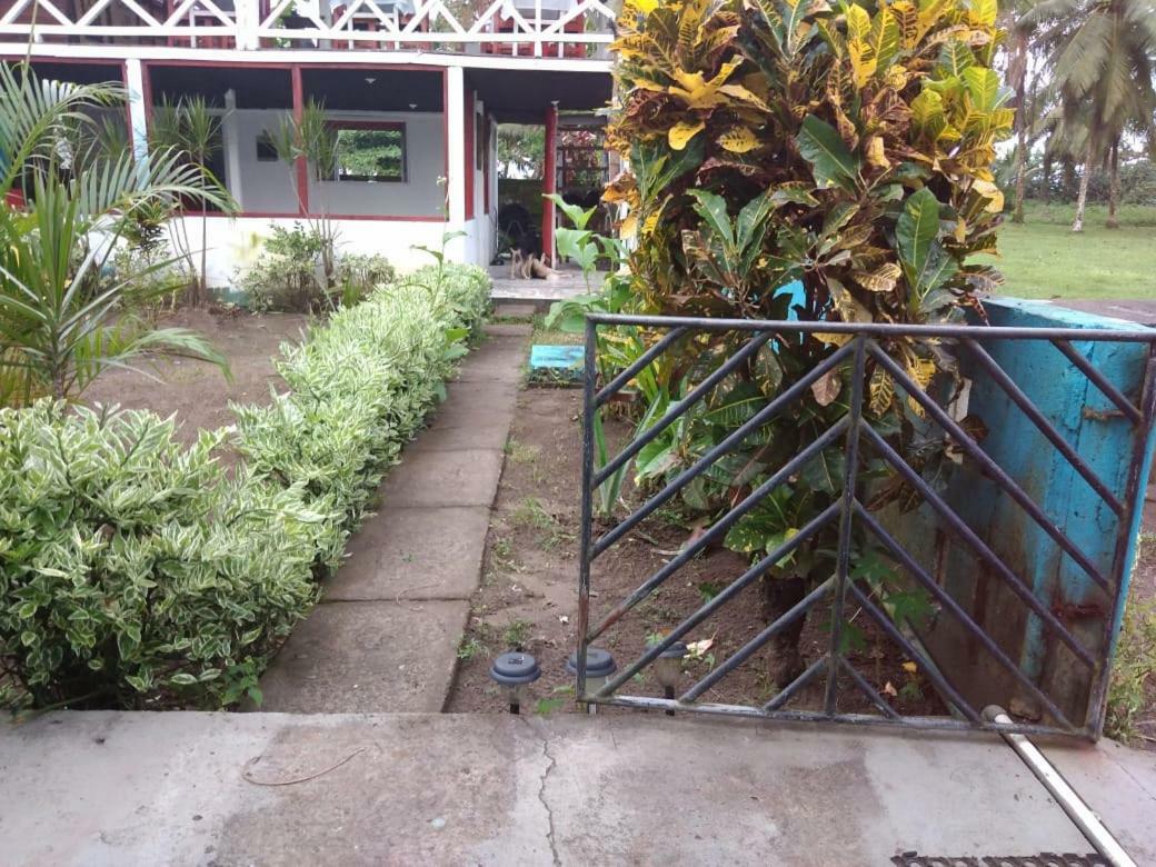 Cabinas Miss Miriam 2 Tortuguero Ngoại thất bức ảnh