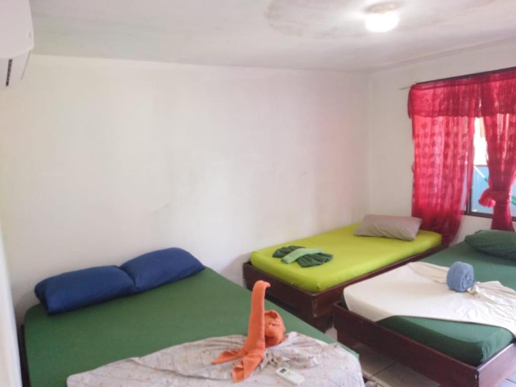 Cabinas Miss Miriam 2 Tortuguero Ngoại thất bức ảnh